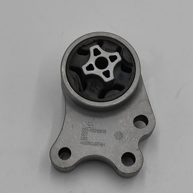 X01-10010016